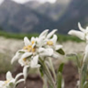 Meet your Posher, Kathleen